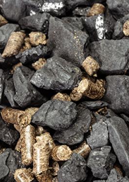 Coal Coke and Biomass